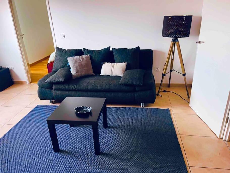 Mon Nuage De Jaude Apartment Clermont-Ferrand Luaran gambar